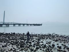 -深圳湾公园(南山区)
