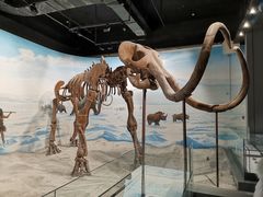 -辽宁古生物博物馆