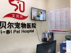 -艾贝尔宠物医院 ·内科全科(梁溪路店)