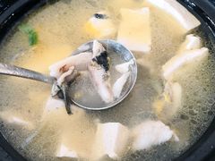 昂公鱼豆腐汤-鑫福楼农家菜