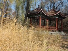 -云岗森林公园