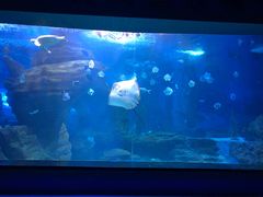 -多彩贵州城极地海洋世界