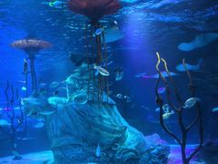 -沈阳海洋探索中心