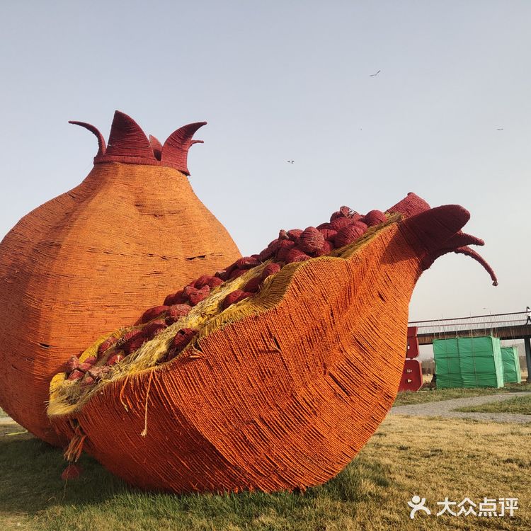 遛娃放风赏花鹿泉石榴红了主题公园