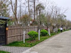 -上海海湾国家森林公园