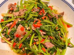 -壹盏灯(惠农店)