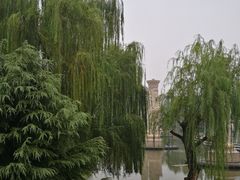 -渭滨公园