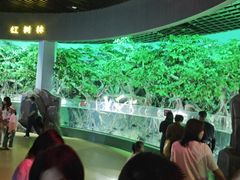 -福州罗源湾海洋世界旅游区