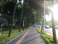 -福田体育公园