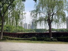 -南翔镇银翔湖公园