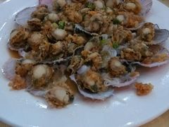 扇贝-海岛渔村大酒店(云霄路店)