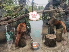 -武汉动物园