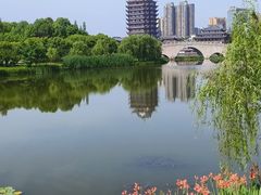 -眉山湿地公园(东坡区)