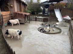 -东台西溪天仙缘景区