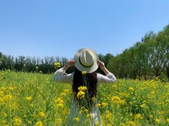 -天津武清北运河郊野公园房车露营地