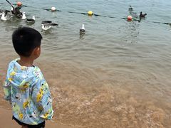 -海驴岛(荣成市)