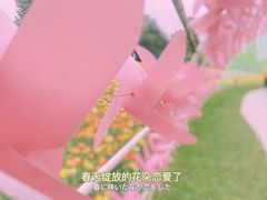 -秀丽东方