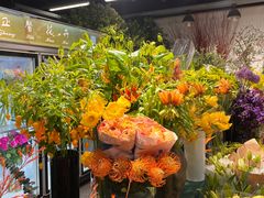 -双季花艺园艺市场(浦东店)