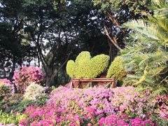 -广州雕塑公园
