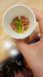 -第五极儿童乐园