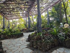 -东莞植物园