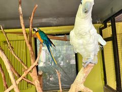 -北京野生动物园