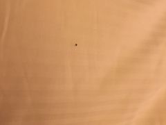 -舟山希尔顿酒店