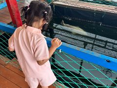 -蓝湾碧波·老字号·疍家非遗海上餐厅