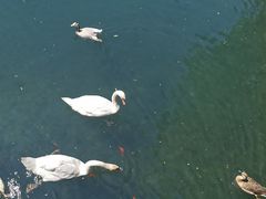 -长白岛森林公园