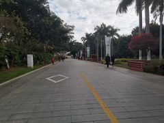-厦门园林博览苑
