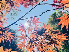 -雨花胜境