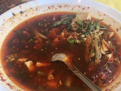 -胖大姐黄辣丁鱼庄(新津店)