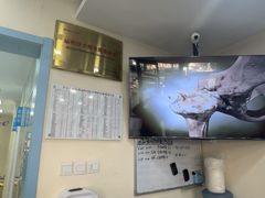 -全心全意连锁动物医院·微创中心·内科急重症·心脏专科(丰管路店)