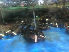 -七鲜超市(万向城店)