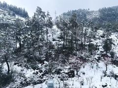 -四明山国家森林公园