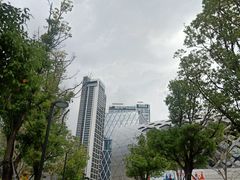 -华润深圳湾体育中心-“春茧” 体育馆