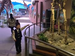 -陕西自然博物馆