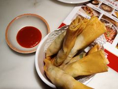 臭豆腐春卷-佬肥猫(国华广场店)