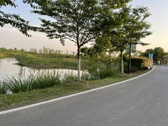 -金卉庄园