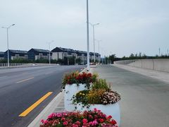 -北龙湖湿地公园