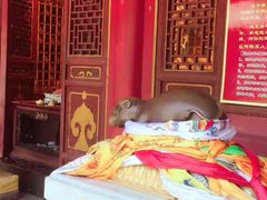 -西安市广仁寺