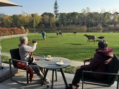 -养云安缦吧THE BAR