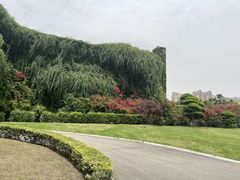 -府河摄影公园