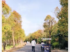 -上海海湾国家森林公园