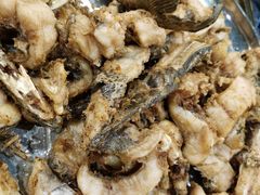 -肖肖酸萝卜鱼火锅(总店)