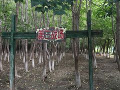 -亲兄弟真人CS团建拓展基地