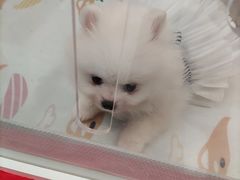 -丽达购物中心(崂山店)
