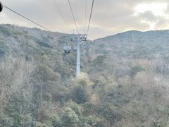 -普陀山慧济禅寺