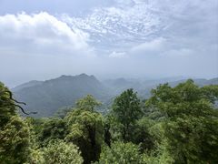 -青城山