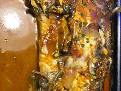 湄公鱼-炉鱼(平湖八佰伴店)